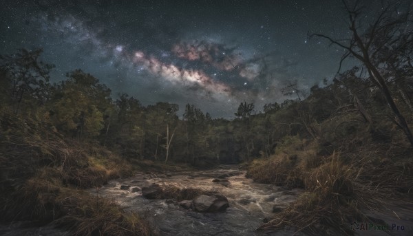 outdoors,sky,cloud,water,tree,no humans,night,grass,star (sky),nature,night sky,scenery,forest,starry sky,rock,river,milky way