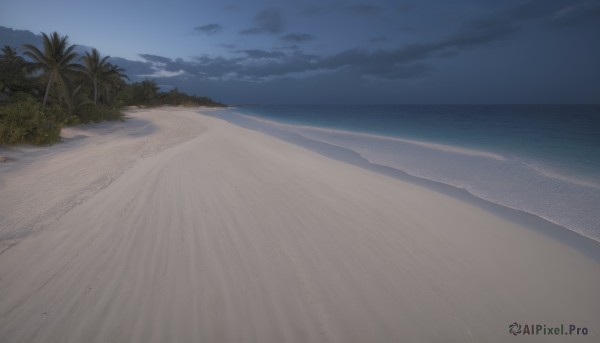 outdoors,sky,day,cloud,water,tree,blue sky,no humans,ocean,beach,cloudy sky,nature,scenery,sand,palm tree,horizon,shore,night,night sky,waves