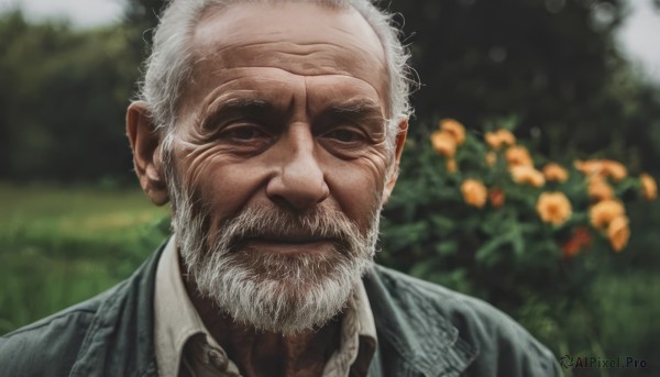 solo,looking at viewer,shirt,1boy,closed mouth,jacket,white shirt,flower,white hair,male focus,outdoors,day,collared shirt,blurry,depth of field,blurry background,facial hair,formal,suit,portrait,beard,realistic,mustache,manly,old,old man,wrinkled skin,black eyes,grass,wing collar