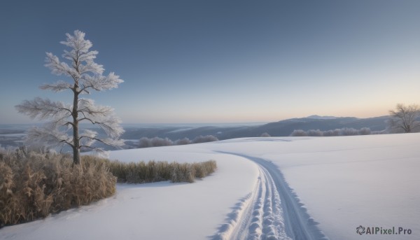 outdoors,sky,day,tree,blue sky,no humans,nature,scenery,snow,mountain,horizon,winter,bare tree,landscape,mountainous horizon,pine tree,cloud,water,ocean,beach,grass,plant,sunset,sand,sun,road,gradient sky,shore