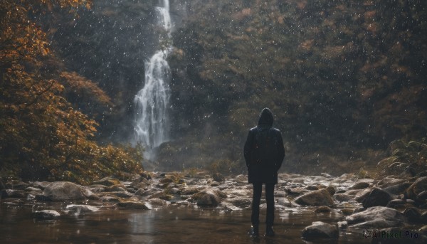 solo, 1boy, standing, outdoors, sky, water, from behind, tree, night, star (sky), night sky, scenery, snow, starry sky, rock