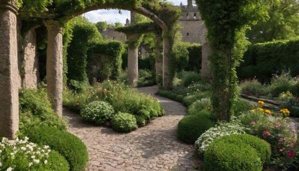 A garden captured beautifully in a tranquil day