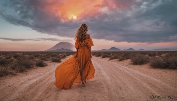 1girl,solo,long hair,brown hair,black hair,long sleeves,dress,standing,full body,outdoors,sky,cloud,from behind,sunlight,cloudy sky,scenery,walking,sunset,mountain,long dress,sun,facing away,orange dress,mountainous horizon,orange theme,bare shoulders,grass,wind,sand,horizon