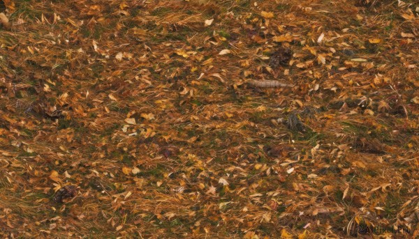 1girl,solo,black hair,1boy,outdoors,tree,leaf,from above,traditional media,nature,scenery,forest,autumn leaves,autumn,orange theme,no humans,road,cityscape,field,yellow theme,landscape