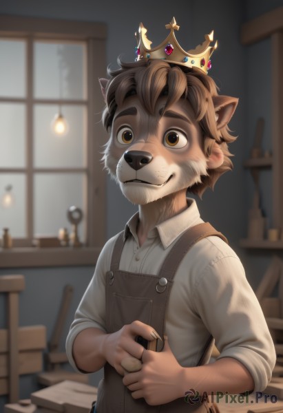 solo,looking at viewer,smile,short hair,brown hair,shirt,1boy,animal ears,brown eyes,closed mouth,tail,white shirt,upper body,male focus,collared shirt,indoors,blurry,window,blurry background,thick eyebrows,crown,messy hair,child,furry,sleeves rolled up,overalls,furry male,male child,bangs,standing,artist name,apron,book,buttons,depth of field,facial hair,own hands together,extra ears,lamp,sleeves pushed up