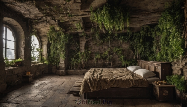 day,indoors,tree,pillow,no humans,window,bed,table,sunlight,plant,scenery,couch,wooden floor,potted plant,ruins,vines,moss,overgrown,flower,food