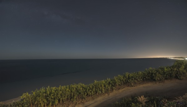 outdoors,sky,cloud,water,tree,no humans,night,ocean,beach,grass,plant,star (sky),nature,night sky,scenery,forest,starry sky,horizon,road,landscape,sunset,shore