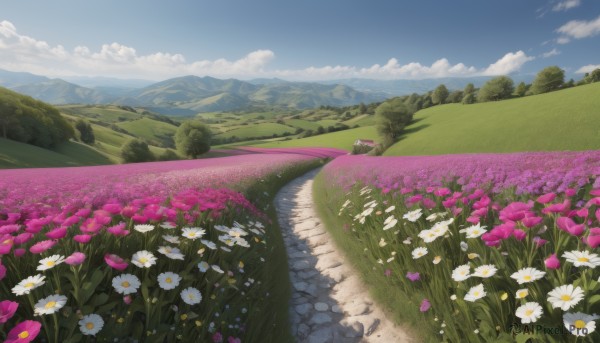 flower,outdoors,sky,day,cloud,tree,blue sky,no humans,cloudy sky,grass,white flower,nature,scenery,pink flower,rock,mountain,road,field,flower field,landscape,mountainous horizon,path,hill,forest,bush