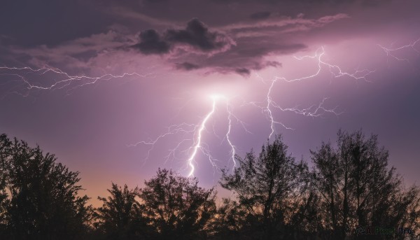 outdoors,sky,cloud,tree,no humans,cloudy sky,nature,scenery,forest,sunset,electricity,lightning,purple sky,monochrome