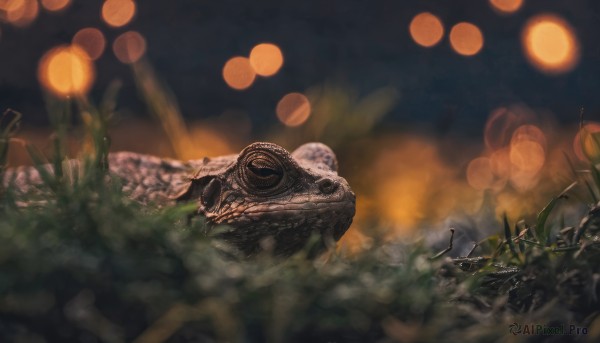 The timeless beauty of a unique subject in a picturesque dynamic scene
