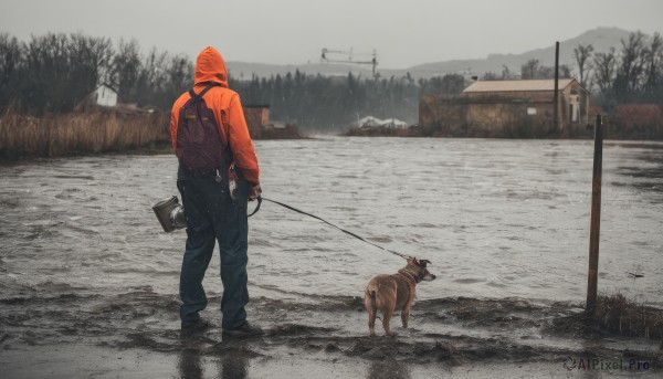 solo,gloves,long sleeves,1boy,holding,standing,jacket,male focus,boots,outdoors,sky,black gloves,pants,hood,fingerless gloves,water,bag,from behind,black footwear,tree,hoodie,animal,backpack,nature,scenery,hooded jacket,snow,1other,hood up,forest,dog,mountain,leash,road,house,winter,power lines,bare tree,utility pole,orange jacket,ambiguous gender,grey sky,red hoodie,holding leash,orange hoodie,ground vehicle,building,motor vehicle,hose,truck