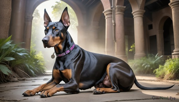 Image of a dog in a fresh day