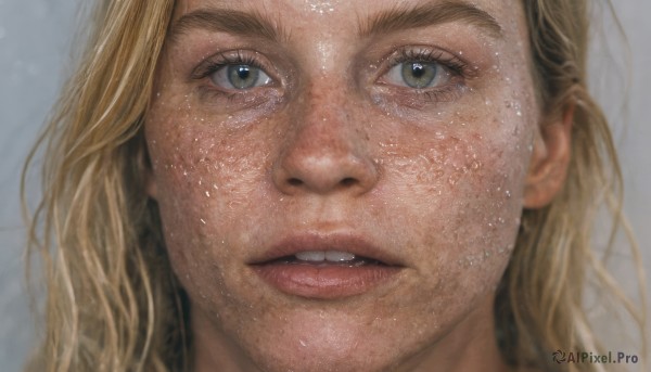 1girl,solo,long hair,looking at viewer,open mouth,blonde hair,simple background,green eyes,parted lips,teeth,grey background,lips,wet,grey eyes,eyelashes,portrait,close-up,freckles,realistic,nose,wet hair,blurry