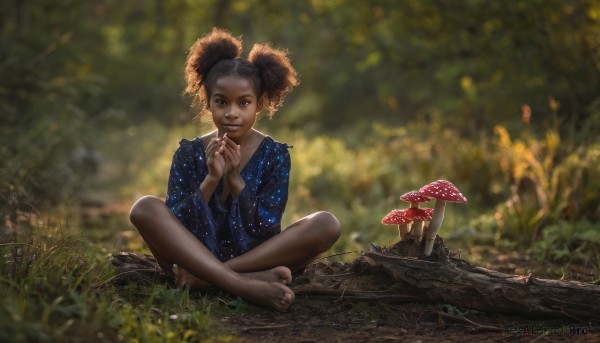 1girl,solo,looking at viewer,smile,brown hair,black hair,long sleeves,dress,twintails,brown eyes,sitting,full body,outdoors,barefoot,day,dark skin,blurry,feet,dark-skinned female,tree,lips,bare legs,toes,depth of field,blurry background,blue dress,own hands together,grass,nature,forest,toenails,curly hair,realistic,nose,indian style,own hands clasped,star print,mushroom,on ground,big hair,very dark skin,crossed ankles,afro,hat,child,straw hat,dirty feet