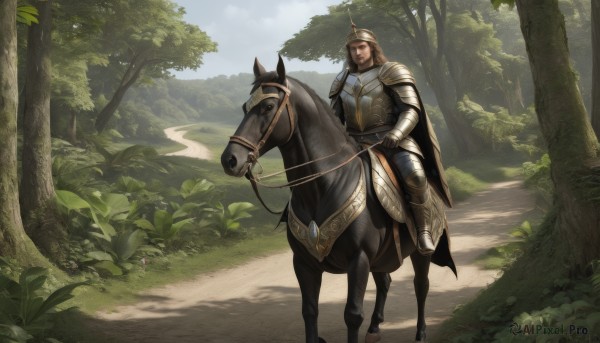 1girl,solo,long hair,brown hair,1boy,closed mouth,male focus,boots,outdoors,day,cape,armor,tree,facial hair,helmet,grass,plant,shoulder armor,gauntlets,nature,scenery,beard,forest,pauldrons,breastplate,riding,greaves,horse,knight,full armor,path,horseback riding,plate armor,reins,saddle,holding,brown eyes,weapon,sky,animal,fantasy,armored boots,bush