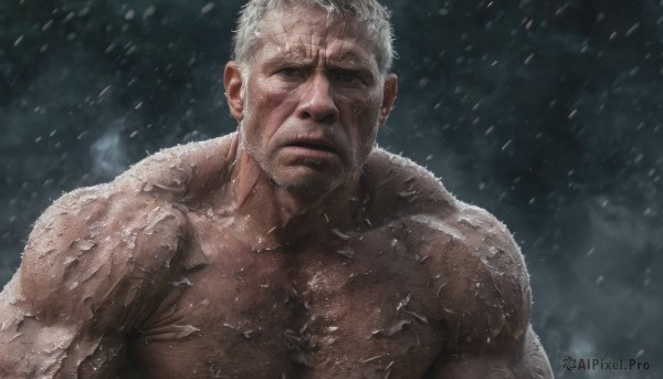 solo,looking at viewer,short hair,1boy,closed mouth,nipples,upper body,white hair,male focus,nude,muscular,facial hair,scar,pectorals,muscular male,bara,beard,scar on face,snow,large pectorals,veins,topless male,snowing,mature male,realistic,scar across eye,stubble,manly,old,chest hair,old man,wrinkled skin,outdoors,thick eyebrows,portrait,rain,sideburns