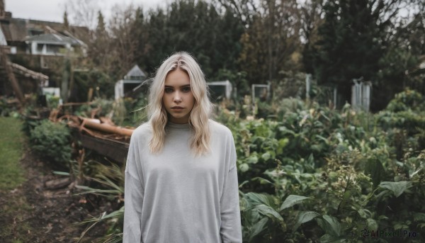 1girl,solo,long hair,looking at viewer,blonde hair,shirt,long sleeves,brown eyes,closed mouth,white shirt,upper body,white hair,outdoors,dark skin,sweater,dark-skinned female,tree,lips,plant,building,nature,scenery,realistic,white sweater,photo background,blue eyes,parted lips,day,blurry,blurry background,leaf