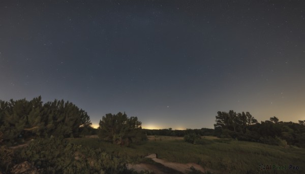 outdoors,sky,cloud,tree,no humans,night,grass,star (sky),nature,night sky,scenery,forest,starry sky,sunset,landscape,gradient sky,star (symbol),rock