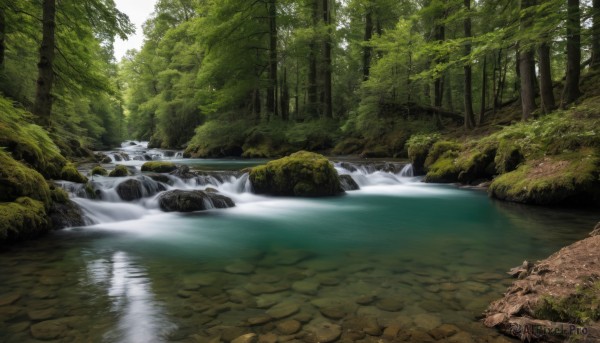 outdoors,day,water,tree,no humans,sunlight,nature,scenery,forest,reflection,rock,river,waterfall,stream