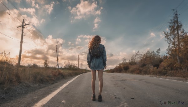 1girl, solo, long hair, skirt, brown hair, school uniform, standing, jacket, outdoors, sky, shoes, cloud, bag, from behind, tree, blue skirt, scenery, facing away, road, wide shot, power lines, utility pole