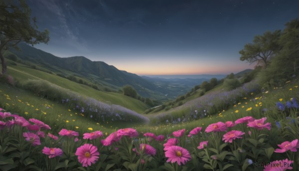 Sunset outdoors brought to life with a dynamic landscape