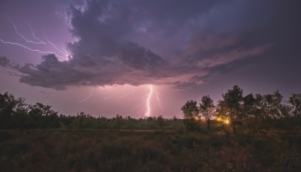 1girl,outdoors,sky,cloud,tree,no humans,cloudy sky,grass,nature,scenery,forest,sunset,electricity,lightning,purple sky,night,fire,night sky,landscape