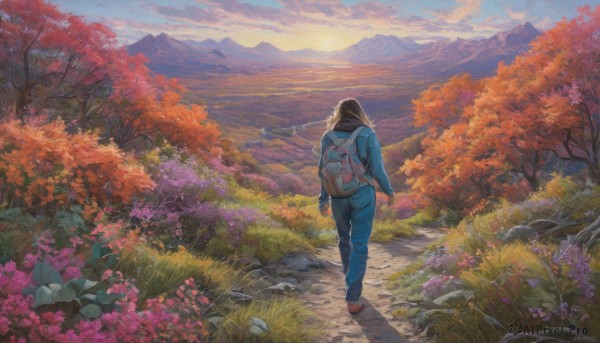 A female surrounded by a lush sunset day