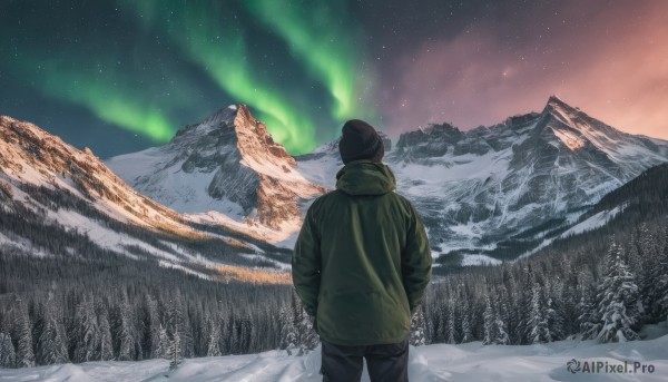 solo,black hair,long sleeves,1boy,hat,standing,jacket,male focus,outdoors,sky,pants,hood,from behind,tree,coat,black headwear,night,black pants,hood down,star (sky),nature,night sky,scenery,snow,forest,starry sky,green jacket,mountain,hands in pockets,beanie,winter clothes,facing away,winter,mountainous horizon,pine tree,aurora,short hair,grass,hooded jacket,snowing,wide shot,green coat