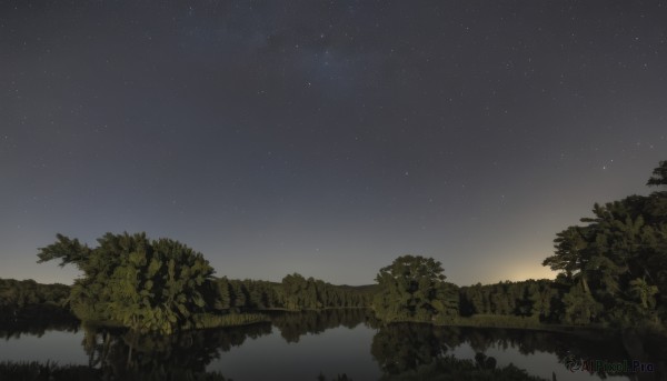 outdoors,sky,water,tree,no humans,night,grass,plant,star (sky),nature,night sky,scenery,forest,starry sky,reflection,sunset,landscape