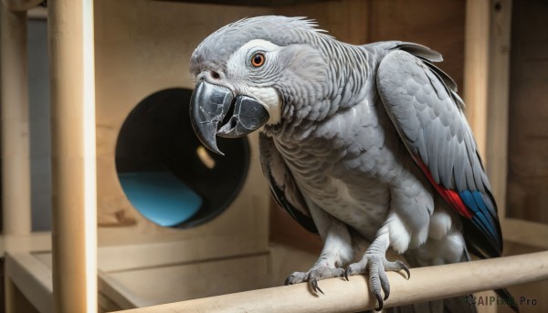 HQ,solo,looking at viewer,open mouth,red eyes,closed mouth,wings,indoors,blurry,orange eyes,no humans,bird,animal,feathers,claws,realistic,creature,animal focus,talons,beak,standing,full body,pokemon (creature)