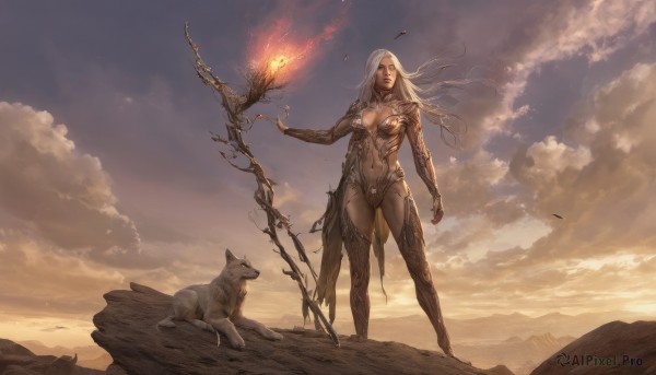 1girl,solo,long hair,breasts,thighhighs,cleavage,medium breasts,standing,white hair,boots,outdoors,sky,pointy ears,cloud,armor,lips,bodysuit,animal,thigh boots,cloudy sky,fire,staff,elf,wind,sunset,dog,fantasy,magic,navel,weapon,floating hair,leaf,mountain,bikini armor