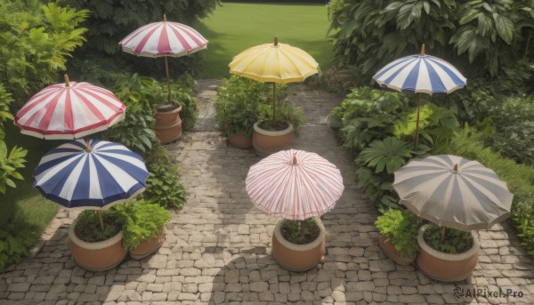 outdoors,day,tree,no humans,shadow,umbrella,grass,plant,scenery,potted plant,bush,shade,parasol,flower pot,path,from above,road