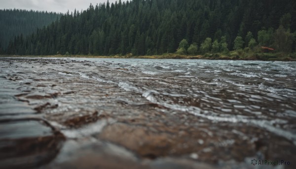 outdoors,sky,day,cloud,water,blurry,tree,no humans,cloudy sky,nature,scenery,forest,rock,mountain,river,landscape,grey sky,depth of field,ocean,beach,realistic,waves,shore