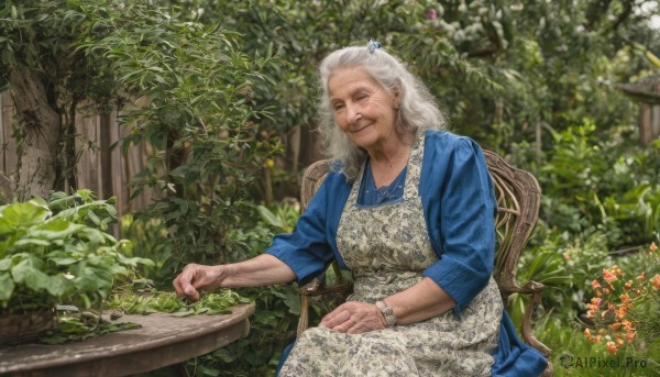 1girl,solo,long hair,smile,hair ornament,long sleeves,dress,jewelry,sitting,closed mouth,closed eyes,flower,white hair,outdoors,day,apron,tree,blue dress,facial hair,chair,table,plant,watch,realistic,wristwatch,old,old man,old woman,garden,wrinkled skin,looking at viewer,shirt,grey hair,signature,leaf,blue shirt,photo background,fine art parody