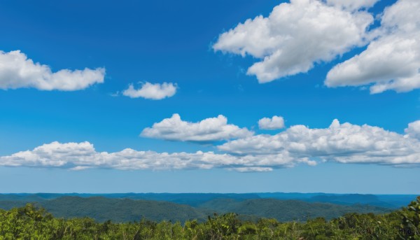 outdoors,sky,day,cloud,tree,blue sky,no humans,cloudy sky,grass,nature,scenery,forest,mountain,field,landscape,mountainous horizon,hill,signature,water,ocean,horizon,summer