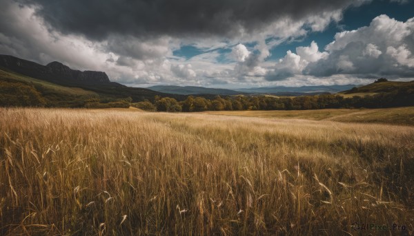 The allure of a landscape in a dynamic day