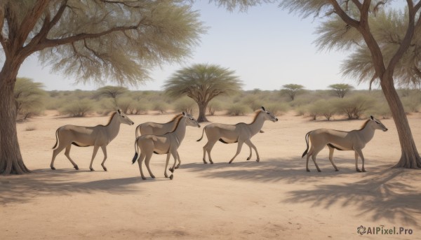 outdoors,sky,day,tree,blue sky,no humans,shadow,animal,grass,nature,scenery,walking,sand,desert,deer,cloud,signature,from side,bare tree,sheep,goat