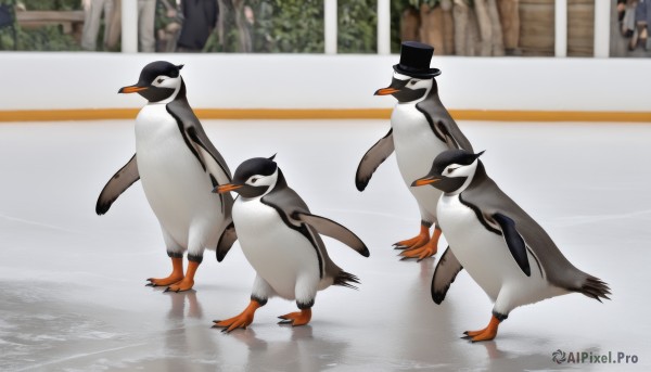 hat,standing,outdoors,black eyes,no humans,black headwear,bird,animal,reflection,walking,top hat,animal focus,penguin,duck,full body,closed eyes