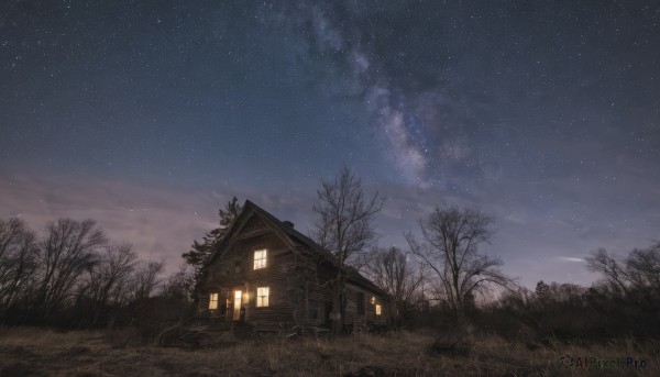 A stunning unique subject captured in outdoors