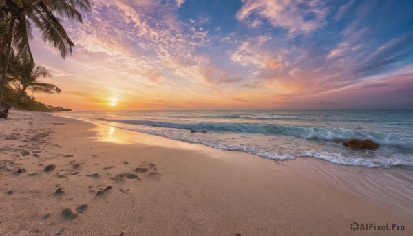 A stunning unique subject captured in sunset outdoors