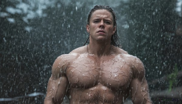 solo,long hair,black hair,1boy,closed mouth,nipples,closed eyes,upper body,male focus,nude,outdoors,blurry,wet,muscular,blurry background,scar,abs,pectorals,muscular male,facing viewer,rain,veins,realistic,wet hair,manly,hair slicked back,looking at viewer,short hair,artist name,facial hair,thick eyebrows,bara,scar on face,large pectorals,mature male,chest hair,veiny arms