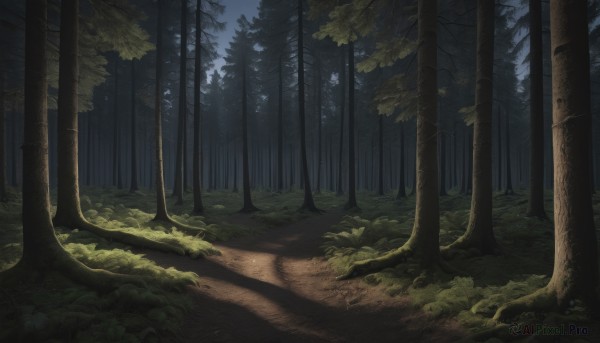 A delightful capture of a landscape within outdoors