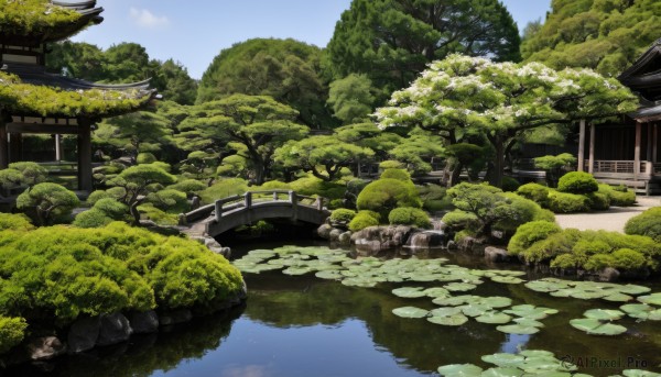 outdoors,sky,day,cloud,water,tree,blue sky,no humans,building,nature,scenery,forest,reflection,rock,torii,architecture,bridge,east asian architecture,river,shrine,lily pad,moss,pond,real world location,grass,bush