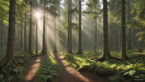 A landscape framed by the beauty of a calm day