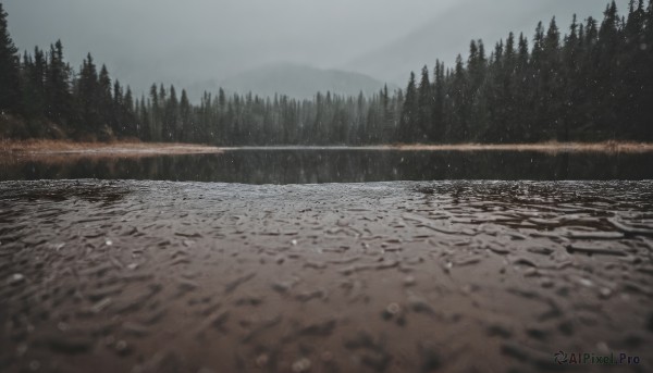 A landscape captured beautifully in a dynamic rainy day