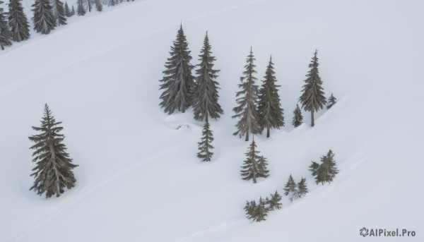 A female in a picturesque snowy outdoors