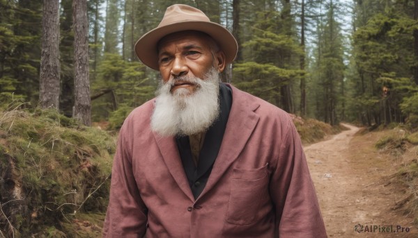 solo,shirt,1boy,hat,jacket,closed eyes,upper body,white hair,male focus,outdoors,day,tree,black shirt,facial hair,nature,beard,forest,realistic,mustache,brown headwear,pink jacket,manly,old,old man,looking at viewer,brown hair,long sleeves,brown eyes,closed mouth,signature,buttons,grass,facing viewer,brown jacket,photo background,cowboy western