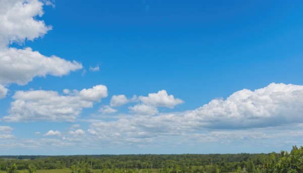 outdoors,sky,day,cloud,tree,blue sky,no humans,cloudy sky,grass,nature,scenery,forest,field,landscape,horizon