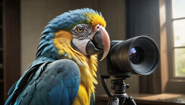 HQ,solo,yellow eyes,day,indoors,blurry,no humans,window,depth of field,blurry background,bird,animal,feathers,realistic,camera,animal focus,beak,parrot,looking at viewer,upper body,video camera,blue feathers