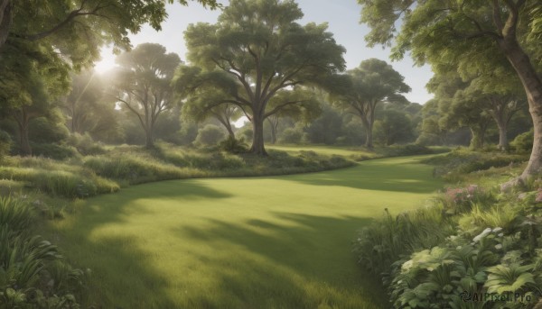 A delightful capture of a landscape within day